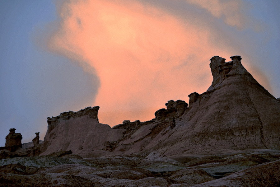 _DSC9559__.jpg