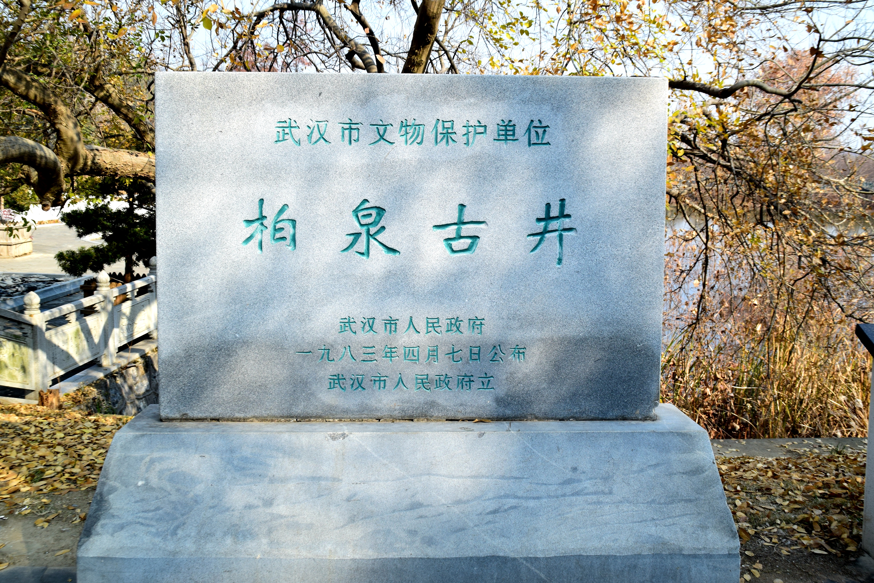14021.JPG