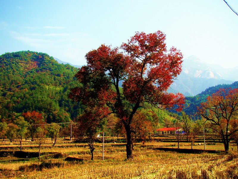 DSC01726c.JPG
