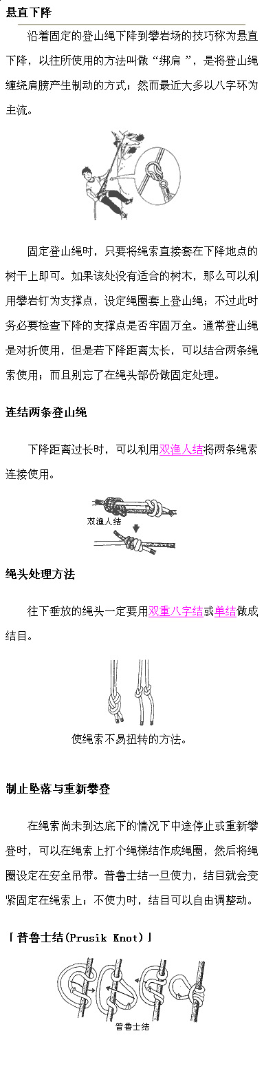 103.jpg