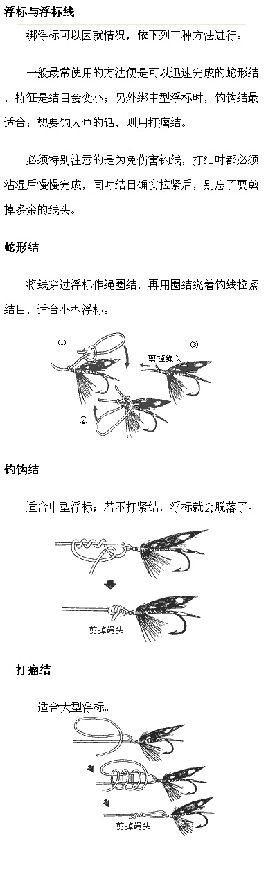 107.jpg