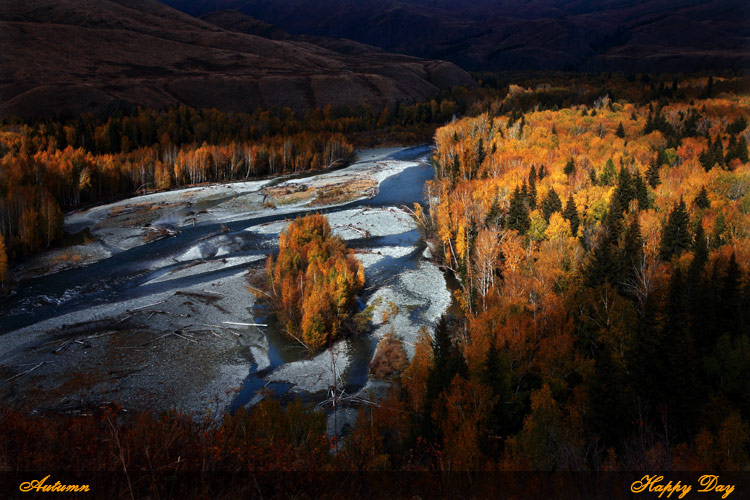 2007101510113.jpg