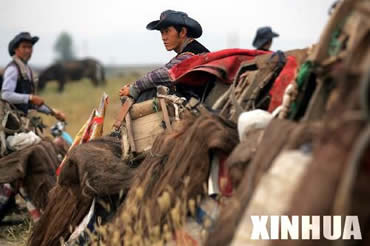 xin103.jpg