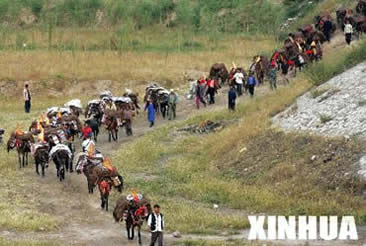 xin101.jpg