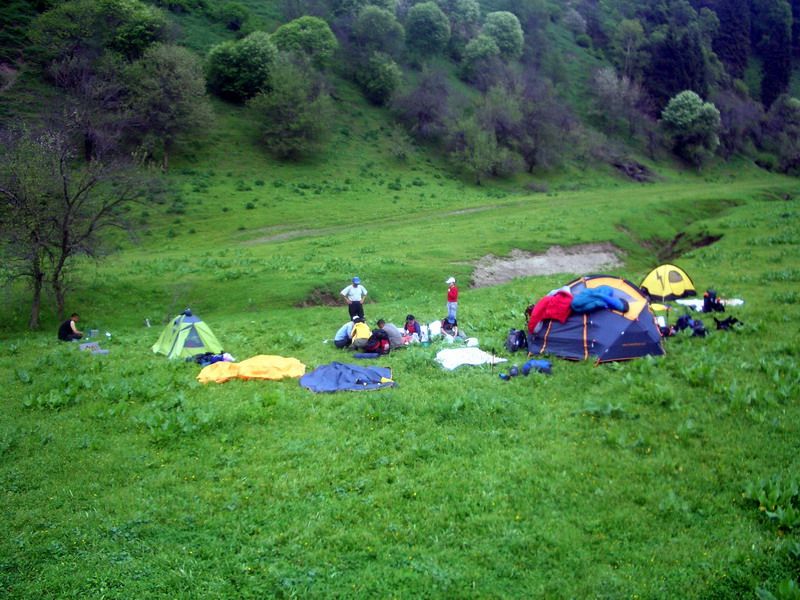 20090316_3de6c800711fd82d043cctrZQCYdPCJw.jpg