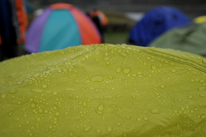 DSC_0675.jpg