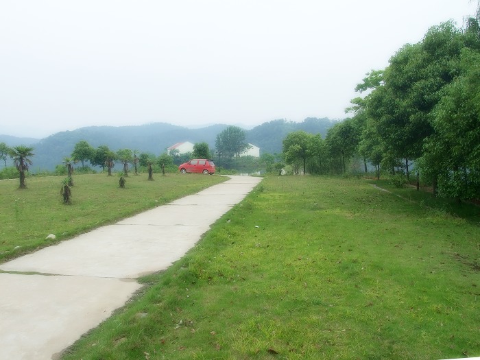 DSCF1833.jpg