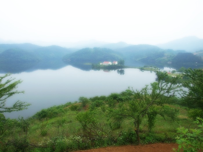DSCF1828.jpg