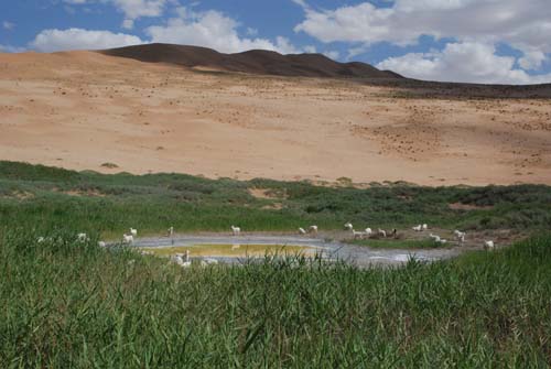 DSC_7427.jpg