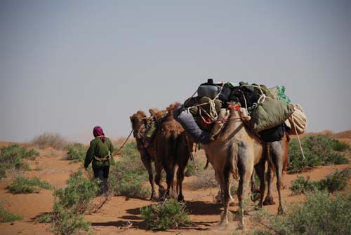 DSC_7065.jpg