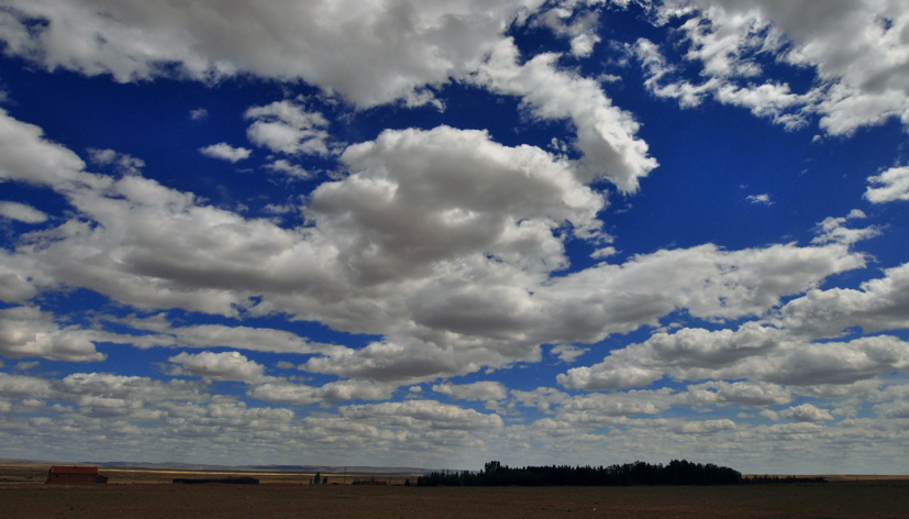 DSC_1987.JPG