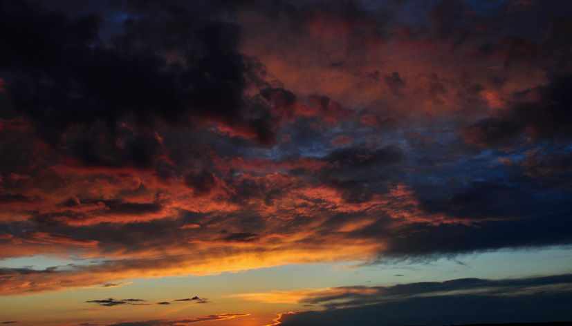 DSC_2892.JPG