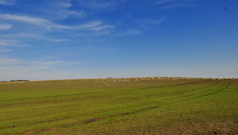 DSC_2927.JPG