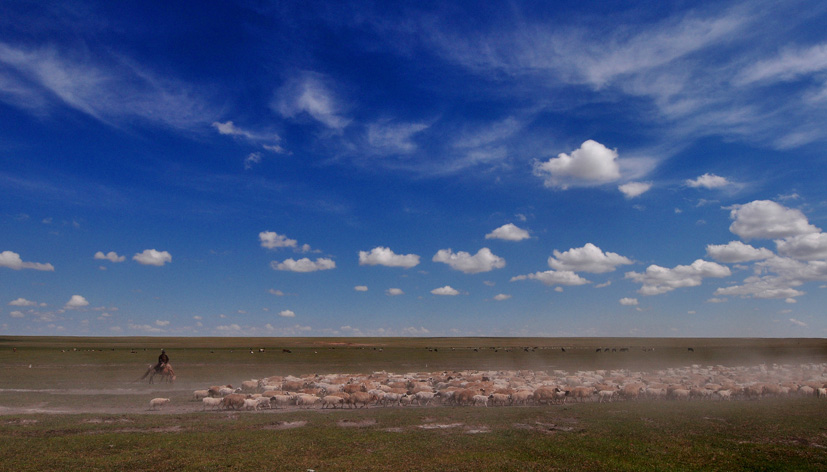 DSC_2936.JPG