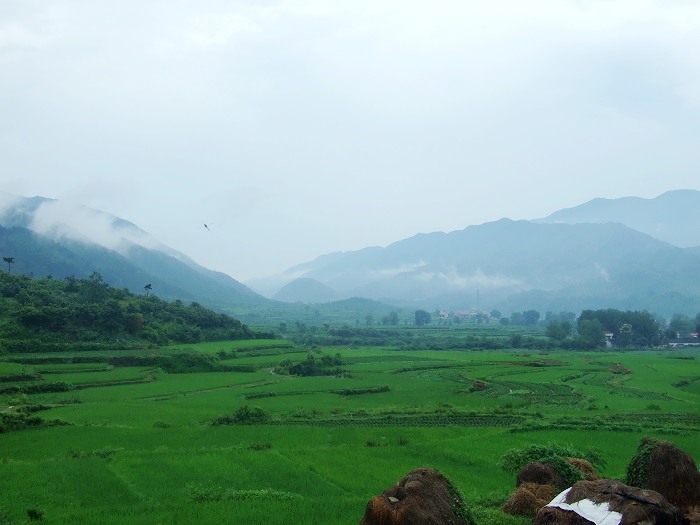 DSCF2255.jpg