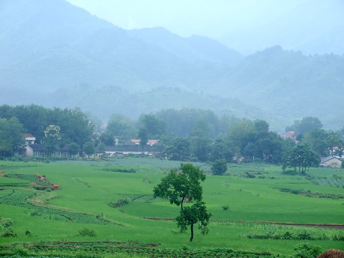 DSCF2262.jpg