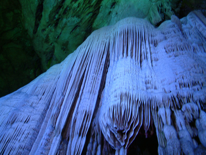 DSCF0153.JPG
