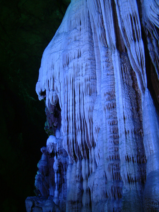 DSCF0152.JPG