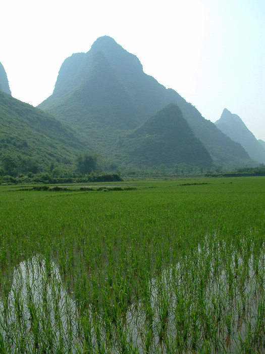 DSCF0411.JPG