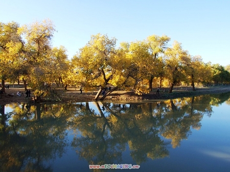 20081228_428ad7bc1ec683a29b3aTuFulmADJz34.jpg
