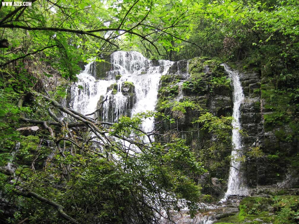 IMG_1608.jpg