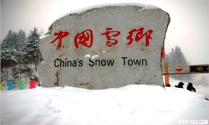 20081342719.jpg