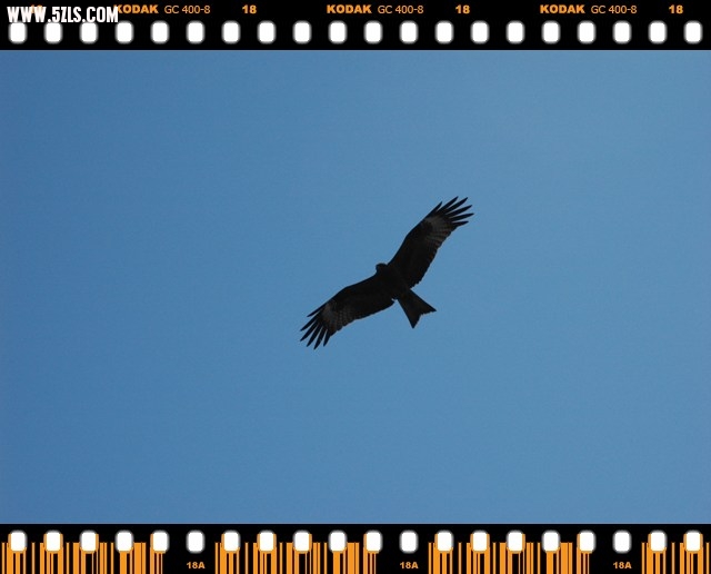 DSC_6241.jpg