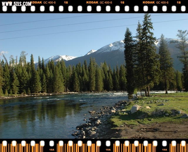 DSC_6295.jpg