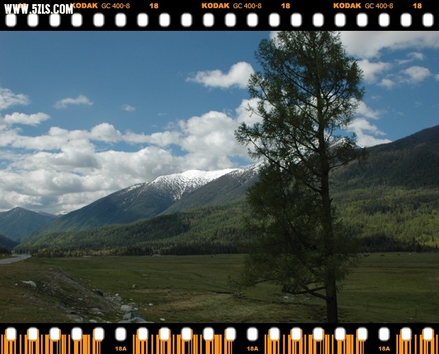DSC_6312.jpg