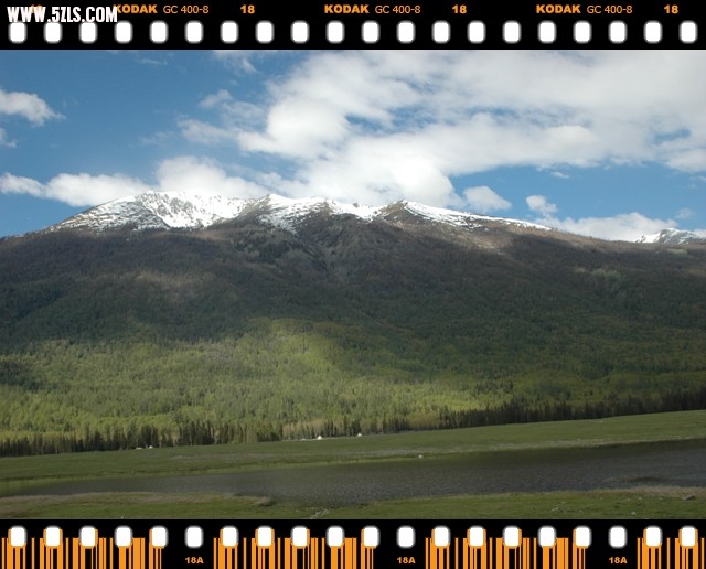 DSC_6311.jpg