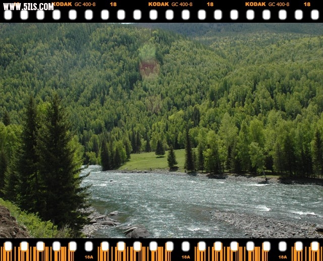 DSC_6376.jpg