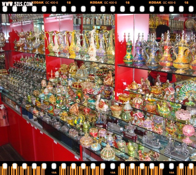 DSC01508.jpg