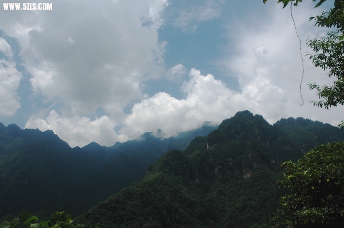 DSC_5939.JPG