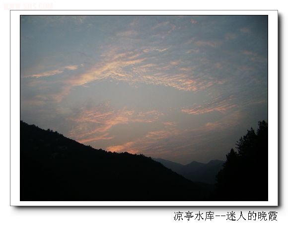 DSC07367.jpg