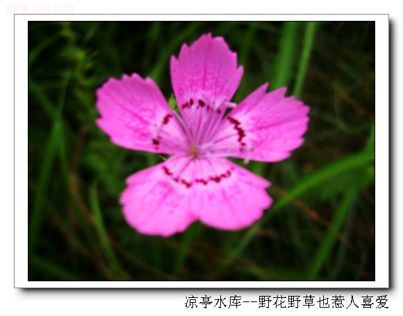 DSC07401.jpg