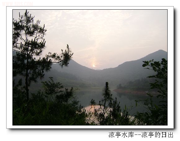 DSC07390.jpg