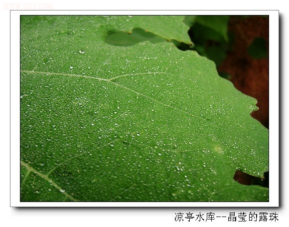 DSC07425.jpg