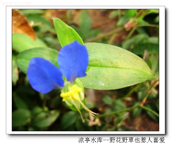 DSC07428.jpg