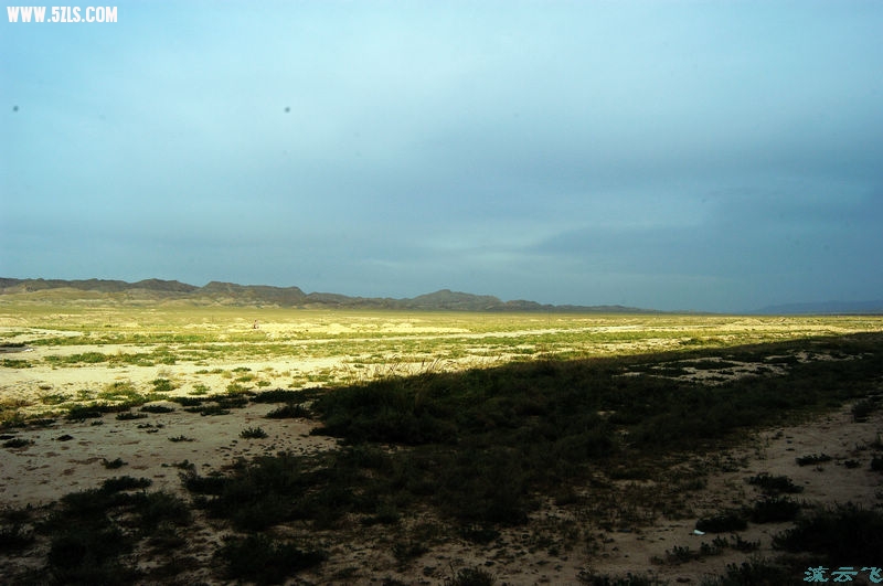 DSC_0014.jpg