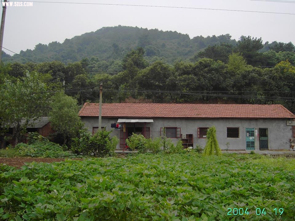 PICT3391.JPG