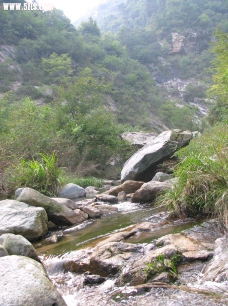 纯阳峡谷