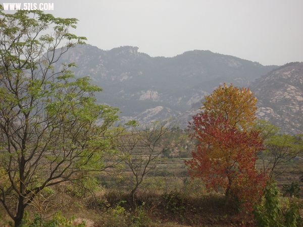 DSC08031-1.jpg