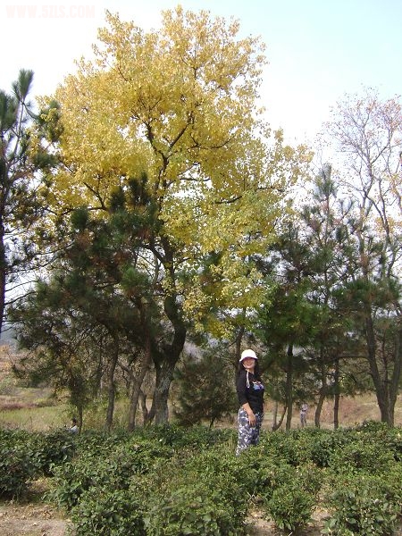 DSC08053-1.jpg