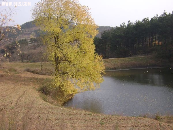DSC08070-1.jpg