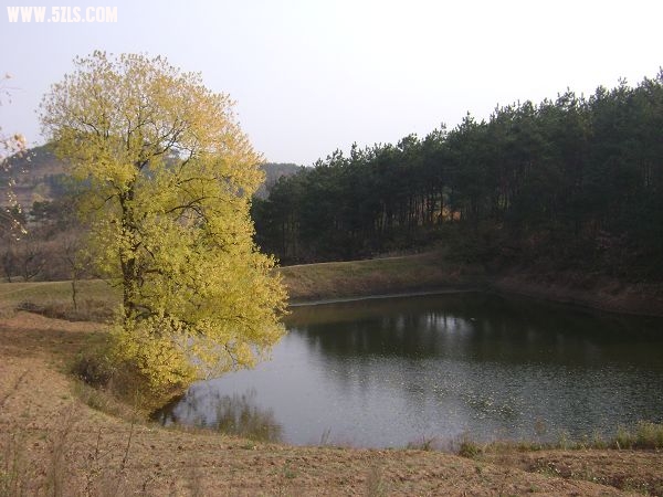 DSC08071-1.jpg