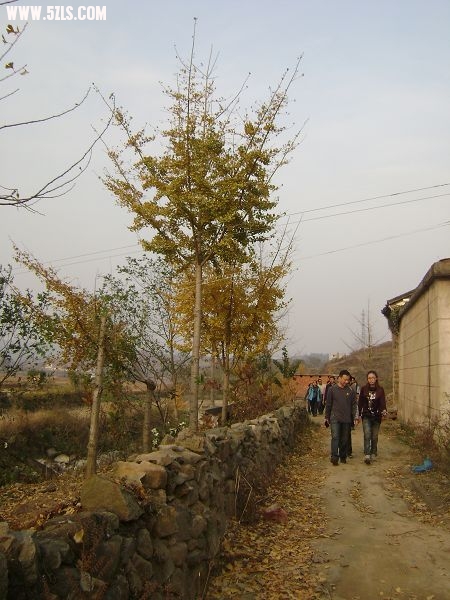 DSC08077-1.jpg
