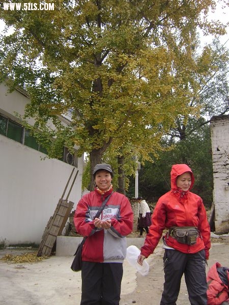 DSC08135-1.jpg