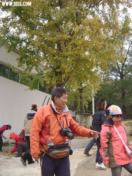 DSC08133-1.jpg