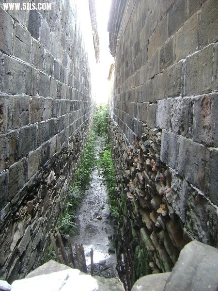 DSC08140-1.jpg