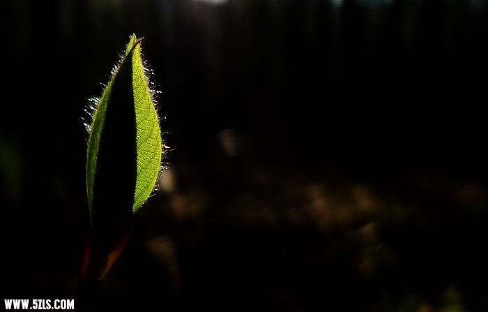照片 220.jpg